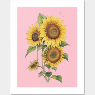 Sunflower Sunshine Posters and Art
